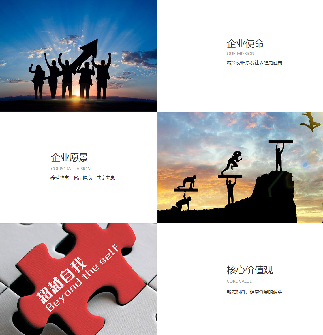 爱游戏（中国）ayx·官方网站(图1)